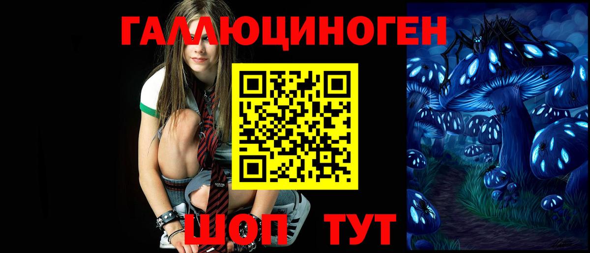 Галлюциногенные грибы Psilocybine cubensis Белогорск