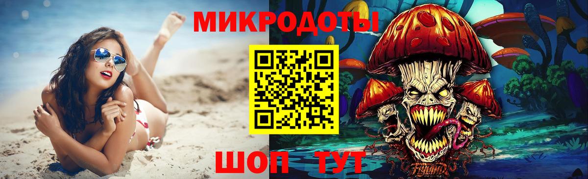 Белогорск  Галлюциногенные грибы Cubensis  Вход с VPN 